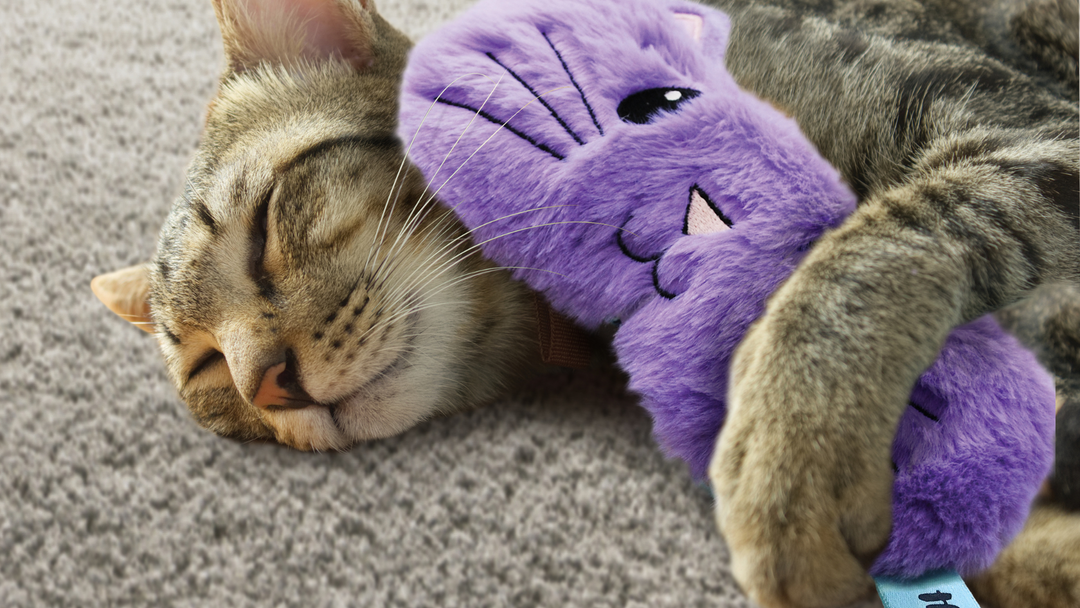 Comfort Toys For Cats