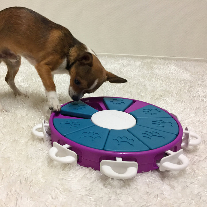 Outward Hound – Nina Ottosson – Dog Twister Puzzle