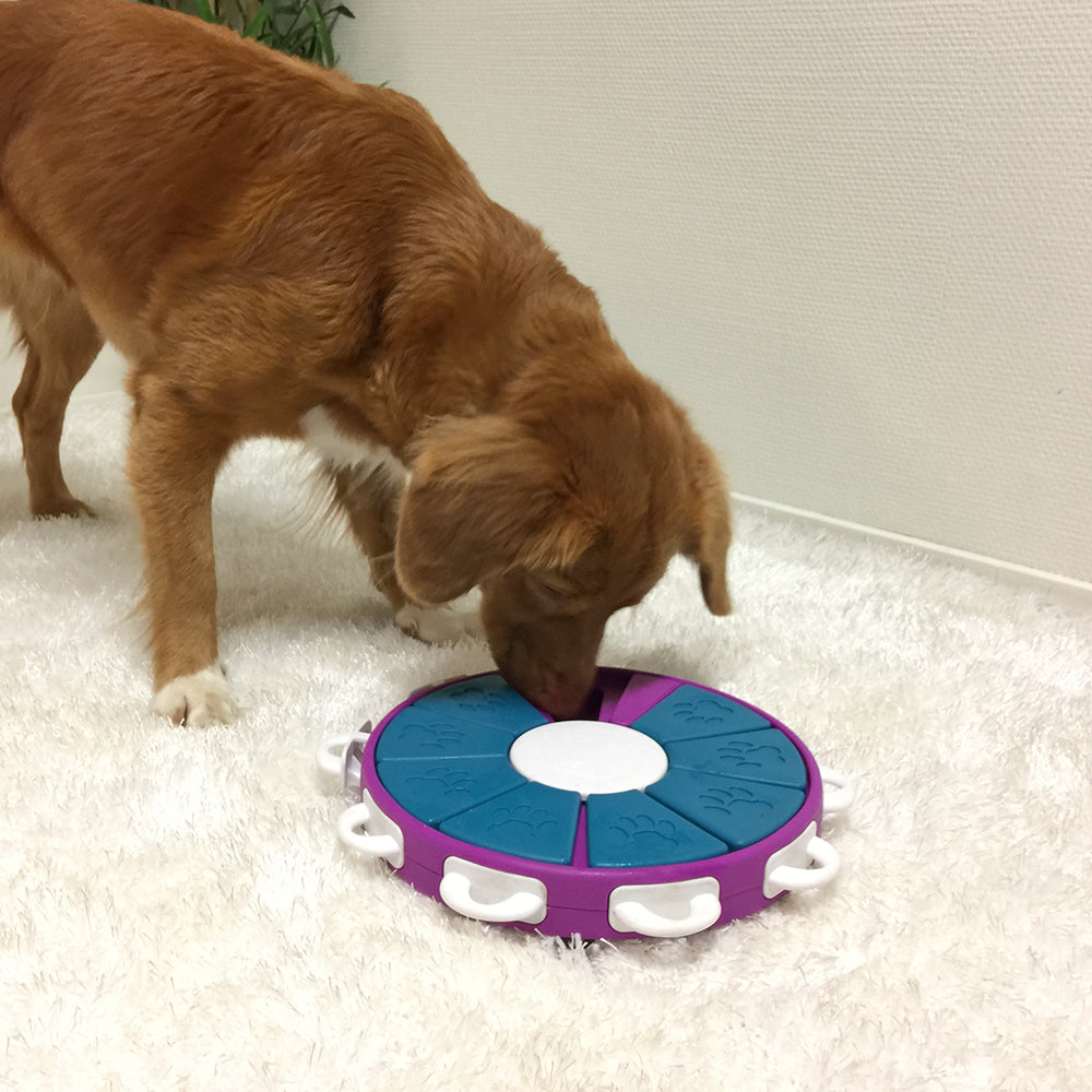 Outward Hound – Nina Ottosson – Dog Twister Puzzle