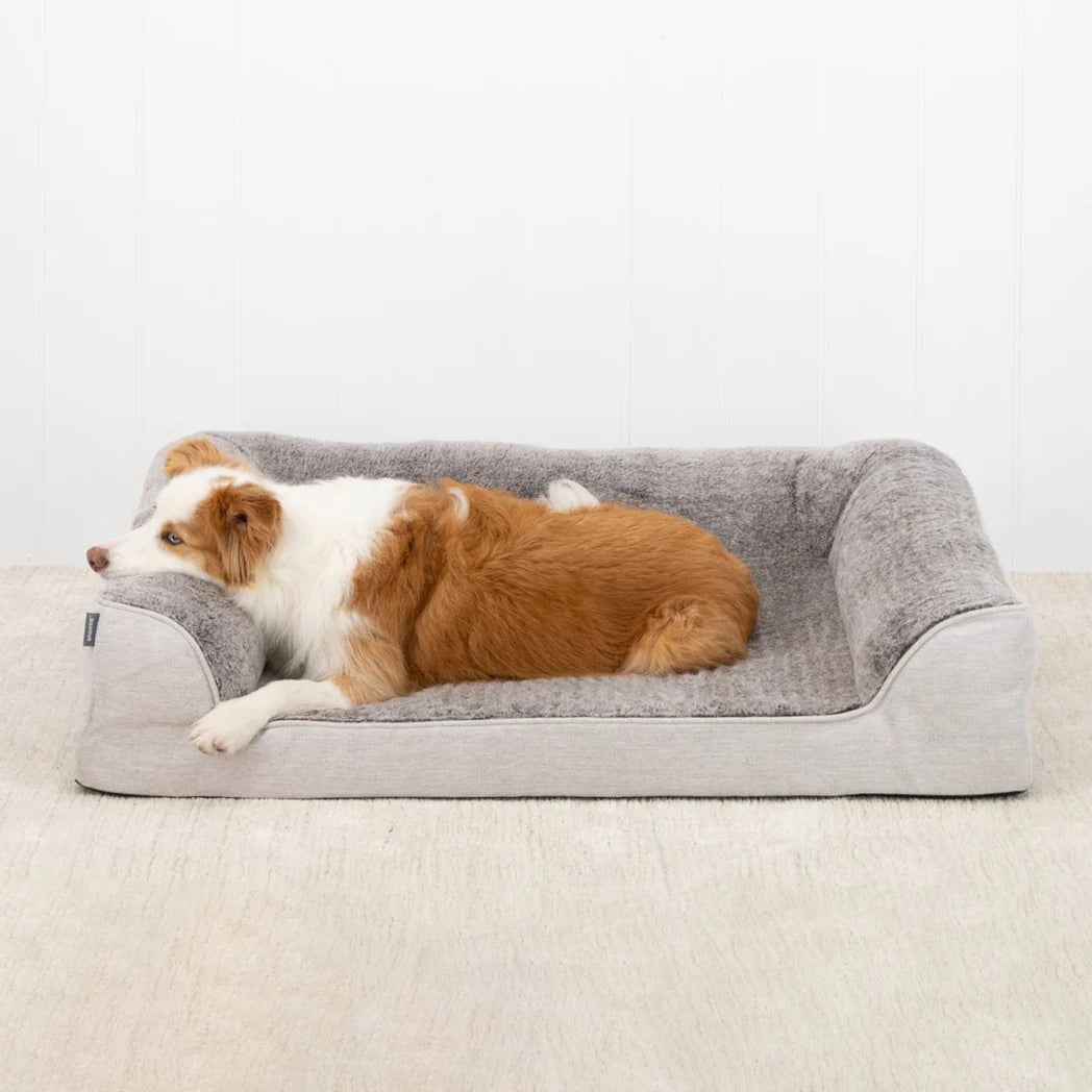 Snooza Ortho Dream Sofa – Cashmere with a large dog comfortably lying on the orthopaedic foam base.