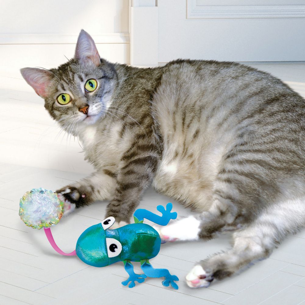 A playful cat wrestling and grabbing the frog toy.