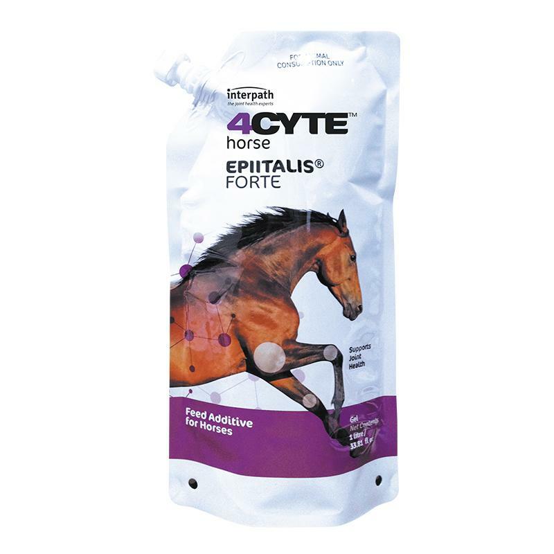 4CYTE EPIITALIS Forte Gel packaging: A sleek tube featuring the product name and logo, highlighting its benefits for equine joint health.