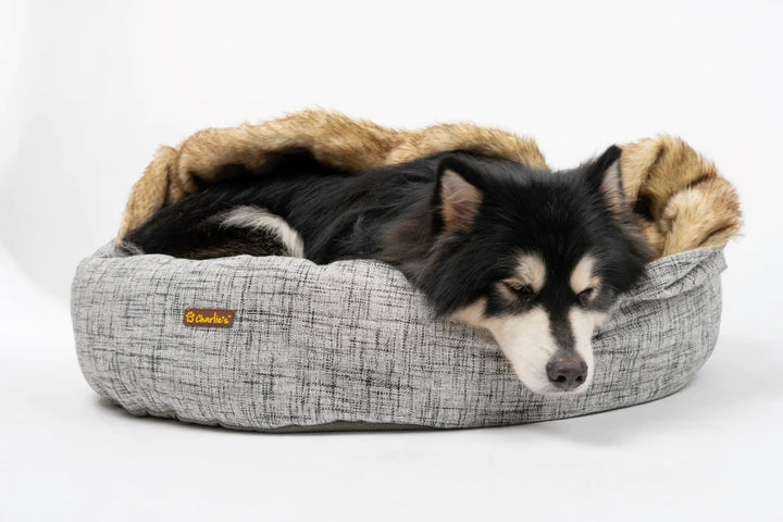 Dog comfortably sleeping in Charlie's Snookie Hooded Pet Bed – Light Grey.