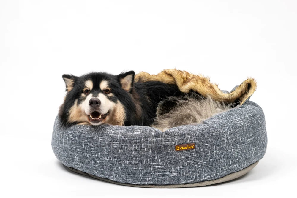 Pet Relaxing in Charlie's Snookie Hooded Pet Bed - Dark Grey