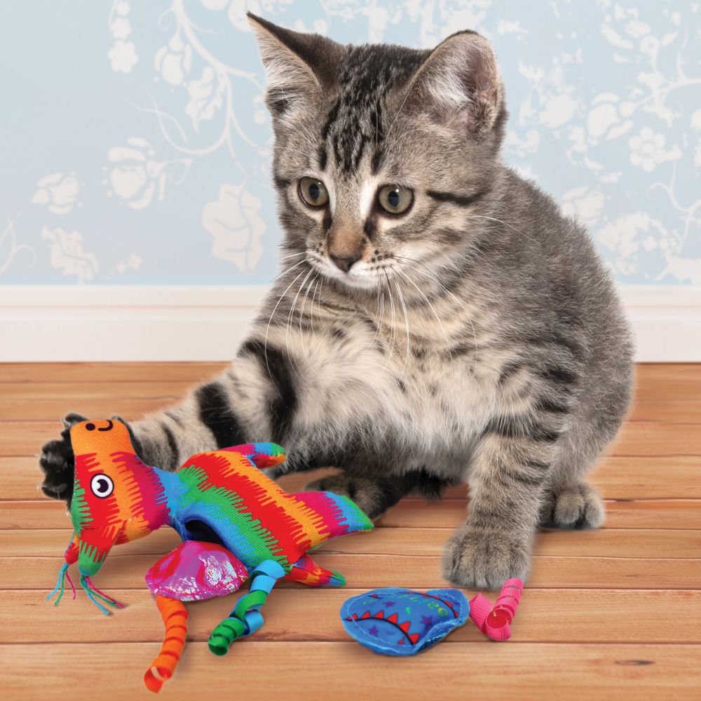 Cat enjoying KONG Pull-A-Partz Pinata Cat Toy