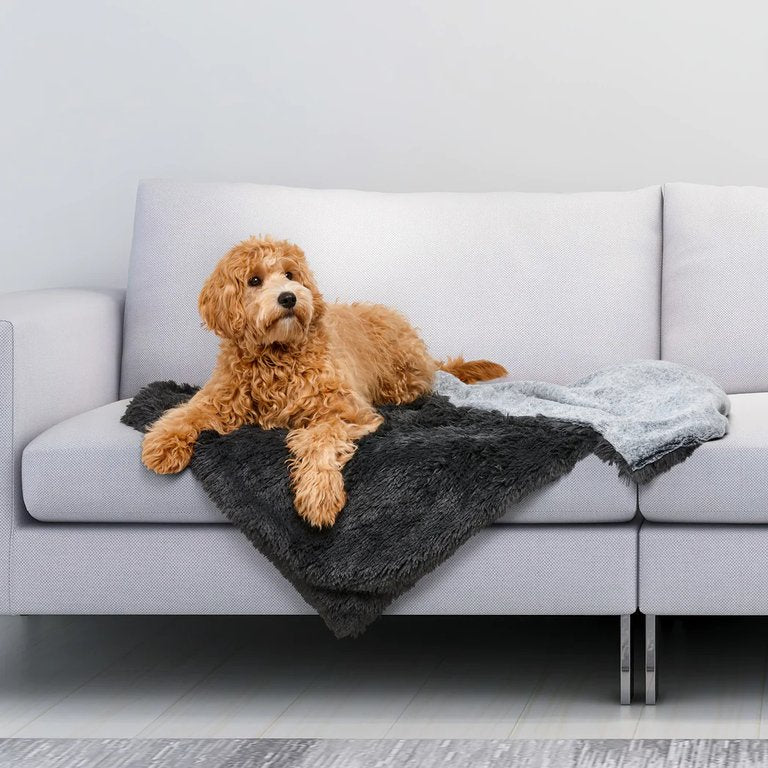 Golden poodle cross dog sitting on a Snooza Calming Waterproof Blanket on a lounge, protecting the furniture from pet accidents.