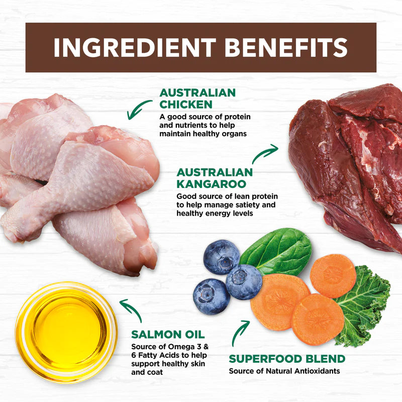 Fresh Ingredients Used in Ivory Coat Grain Free Adult Cat Food - Chicken & Kangaroo