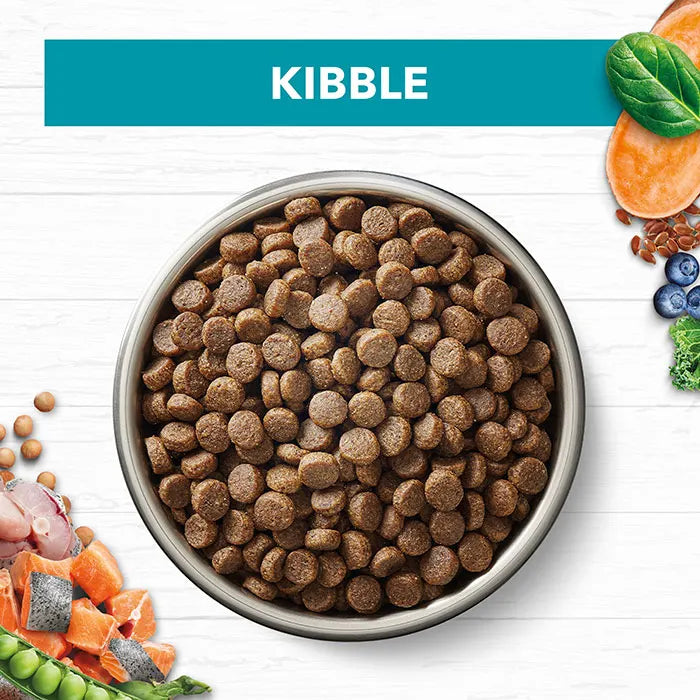 Ivory Coat Adult Cat Food Kibble in a Bowl