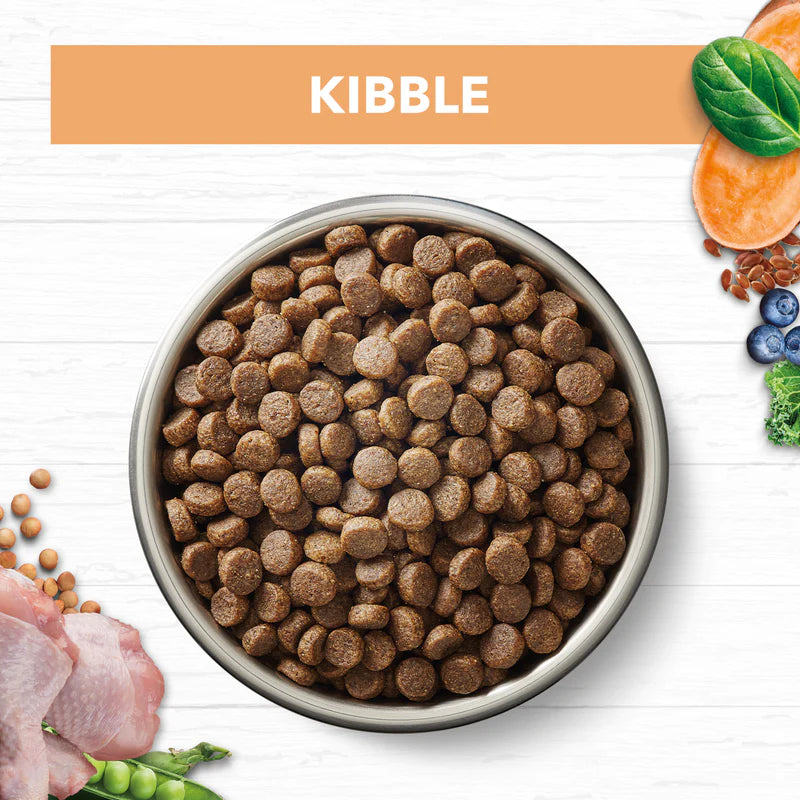  Bowl of Ivory Coat Grain Free Kitten Kibble