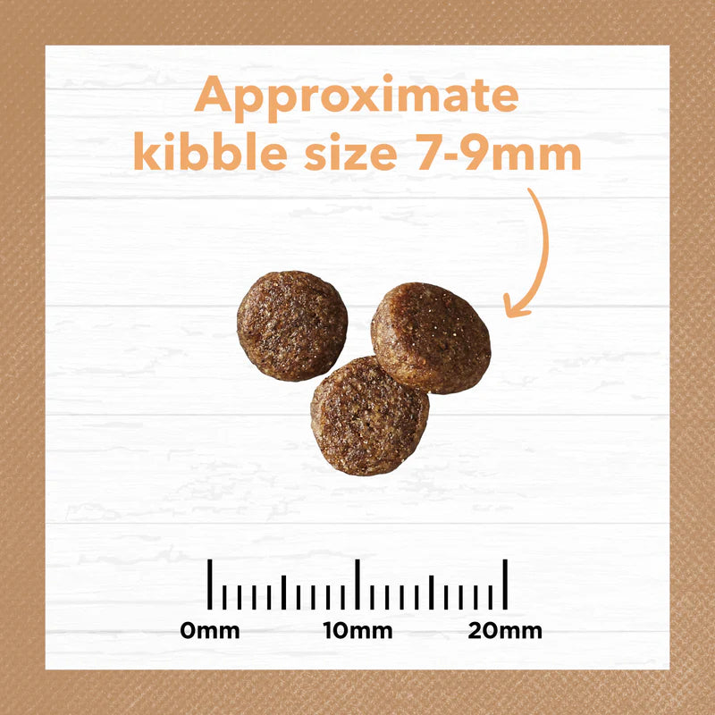 Size chart displaying the dimensions of Ivory Coat Kitten Kibble