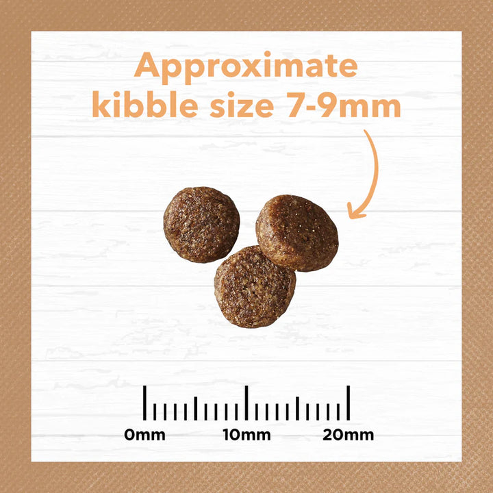 Size chart displaying the dimensions of Ivory Coat Kitten Kibble