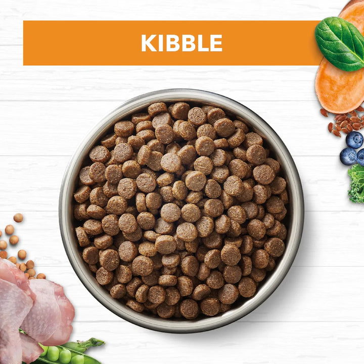 Ivory Coat Grain-Free Chicken Adult Cat Food Kibble in a Bowl