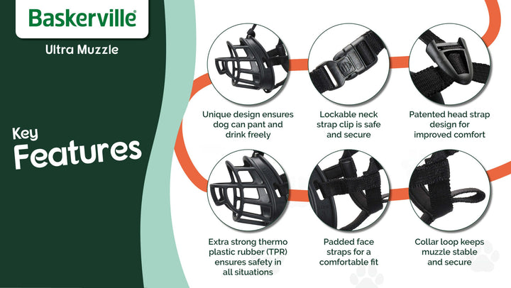 Key Features for Baskerville Ultra Muzzle, ensuring the perfect fit for every dog breed.