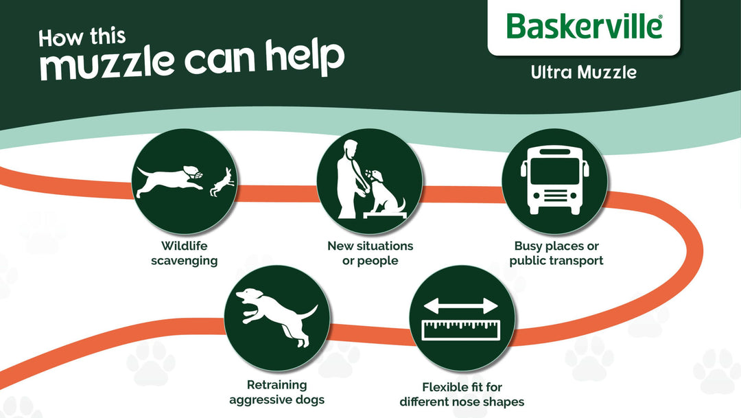 Key Points for Baskerville Ultra Muzzle, ensuring the perfect fit for every dog breed.