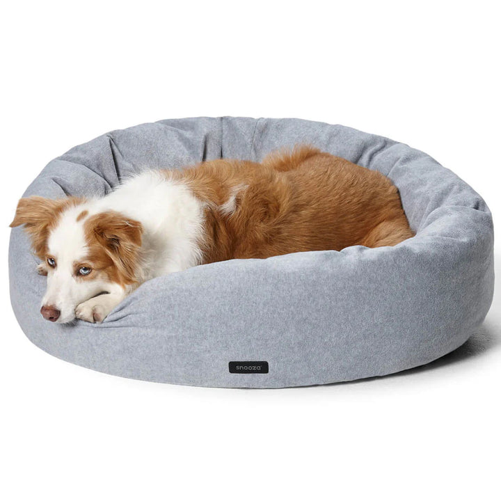 A fluffy dog peacefully sleeping on the Snooza Self-Warming Polar Fleece Cuddler bed in Glacier grey.