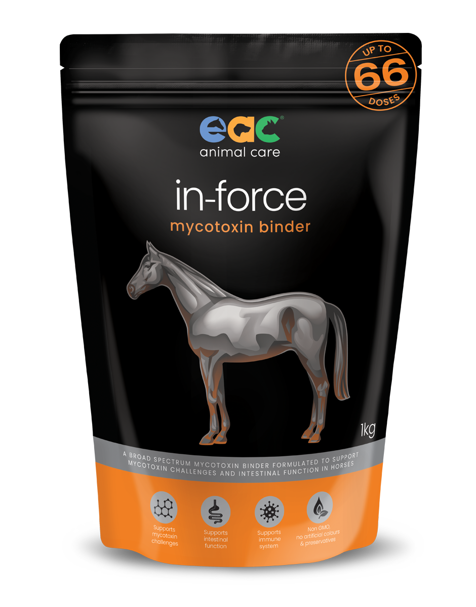 A clear view of EAC In-Force in its 1kg packaging, emphasizing the larger option for long-term equine health maintenance.