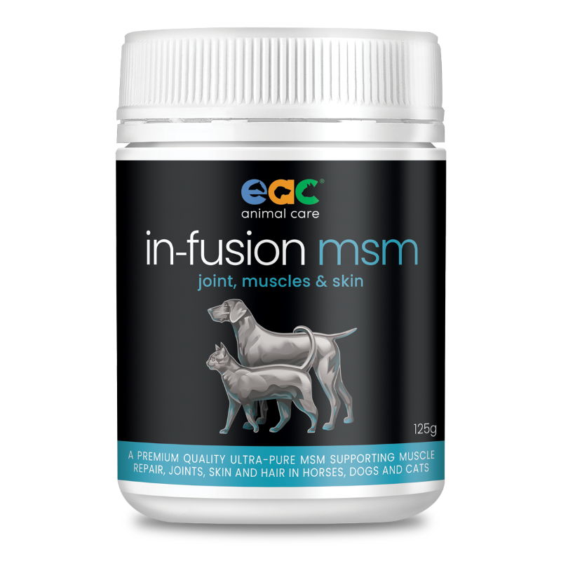 EAC IN-FUSION MSM 125g container, ideal for small pets or trial use.