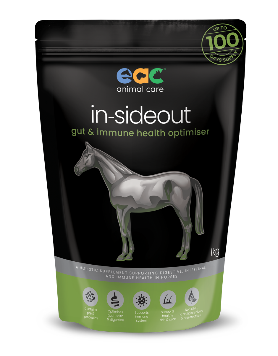 EAC In-SideOut Horse