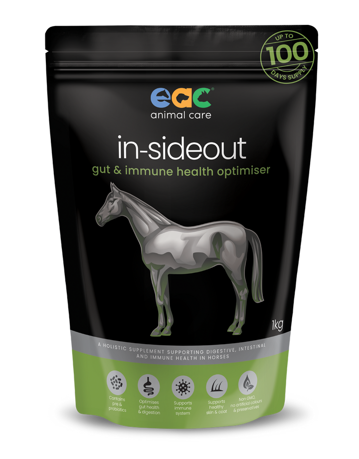 EAC In-SideOut Horse