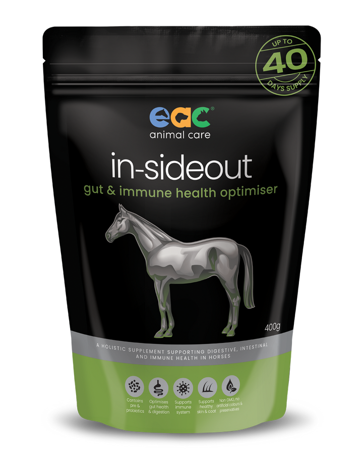 EAC In-SideOut Horse