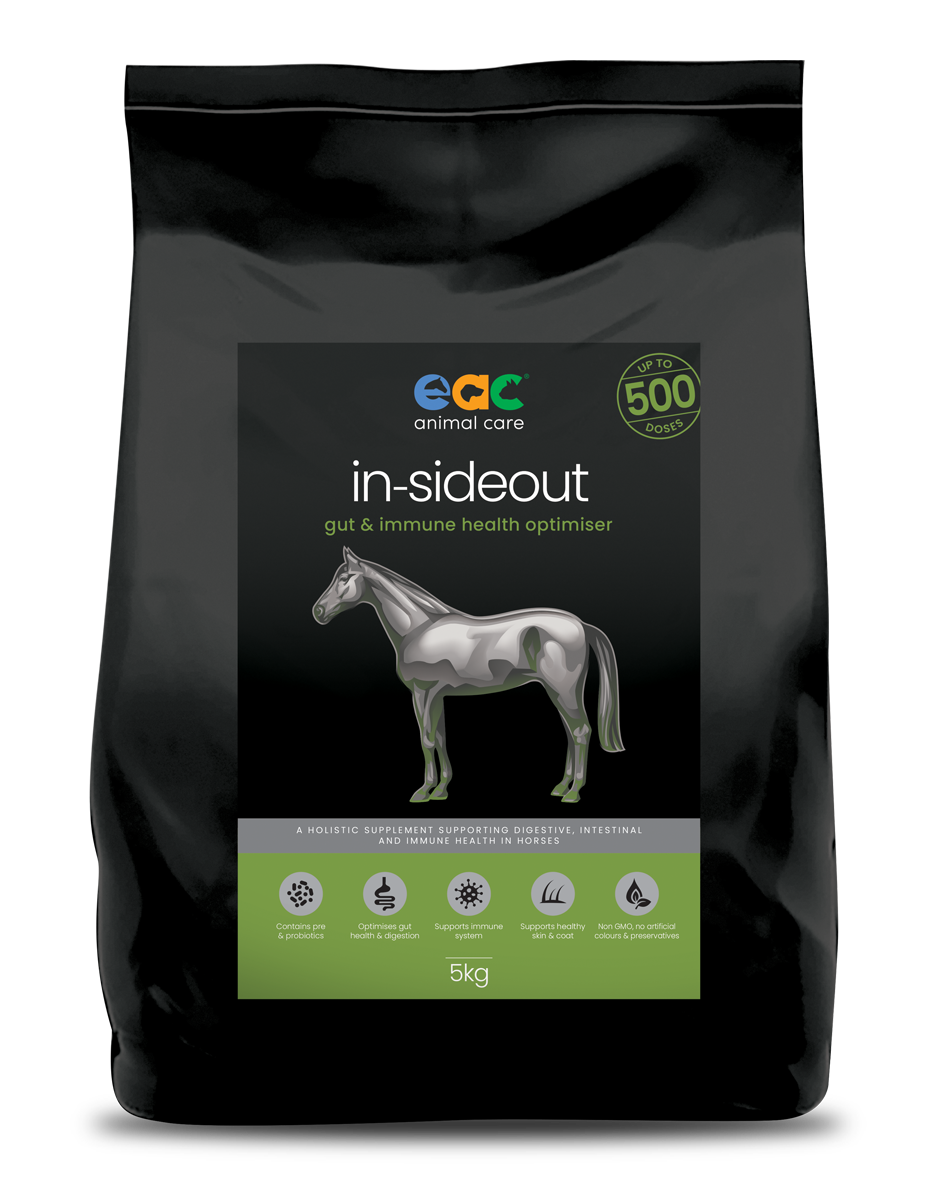 EAC In-SideOut Horse