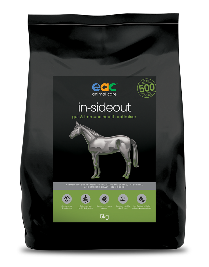 EAC In-SideOut Horse