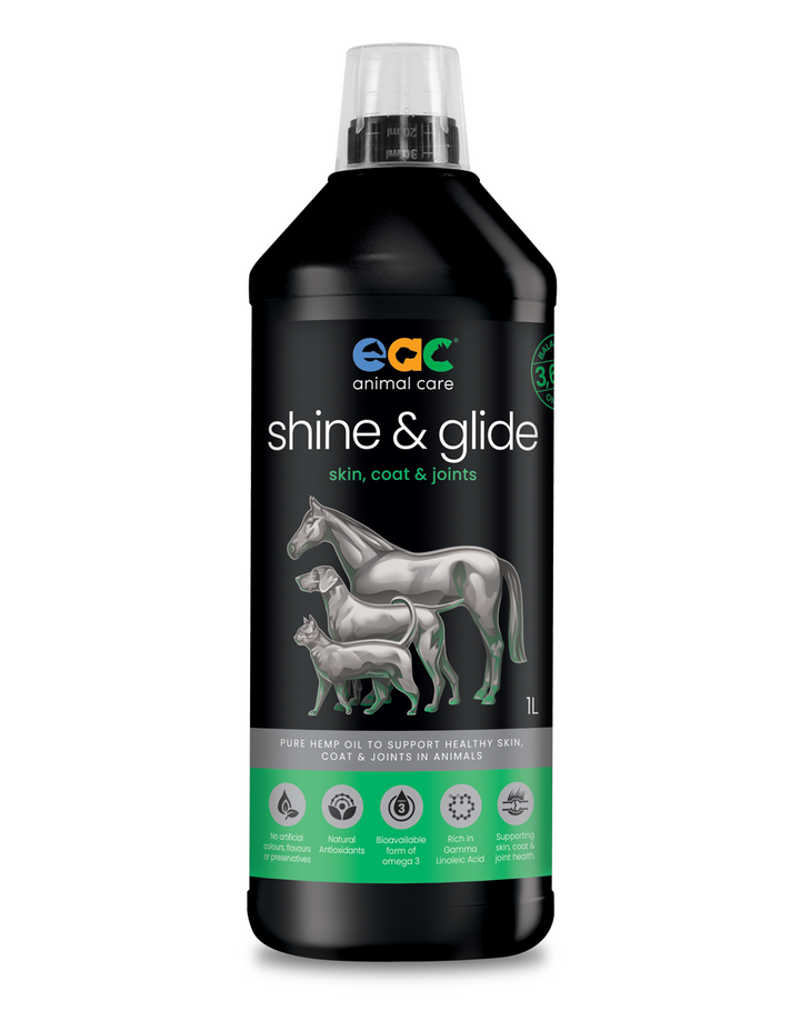 EAC Shine & Glide Pure Hemp Oil bottle 1L - natural omega supplement for pets and horses.