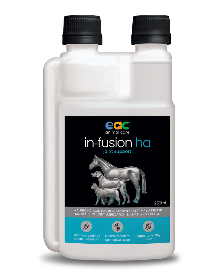  Front view of EAC In-Fusion HA 250ml bottle showing the label and liquid hyaluronic acid supplement.