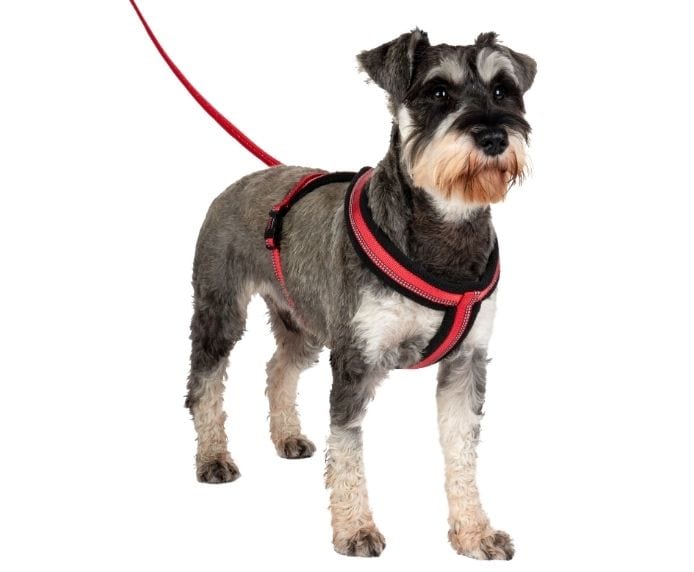 Halti Comfy Harness: Premium Dog Harness for Comfortable Walks