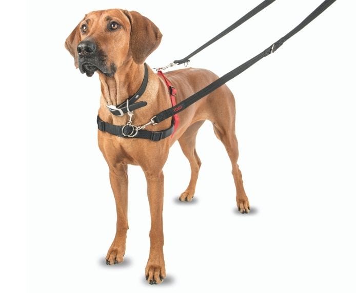 Company of Animals Halti Front Control Harness - Stop Dog Pulling Easily