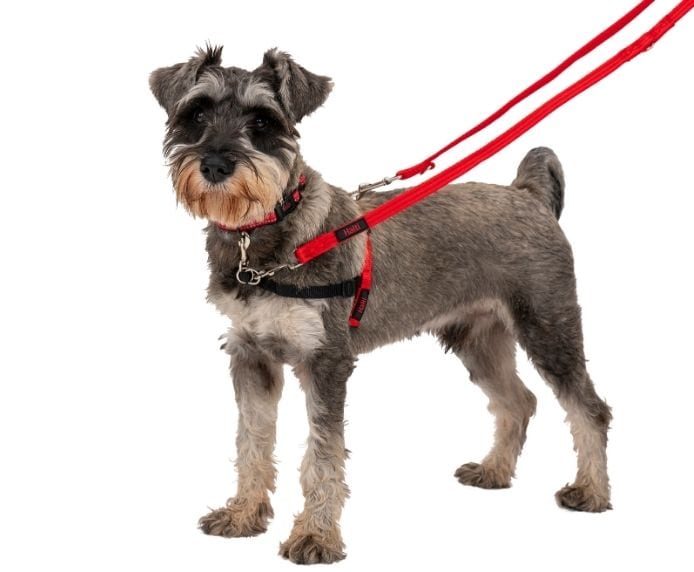 Company of Animals Halti Front Control Harness - Stop Dog Pulling Easily