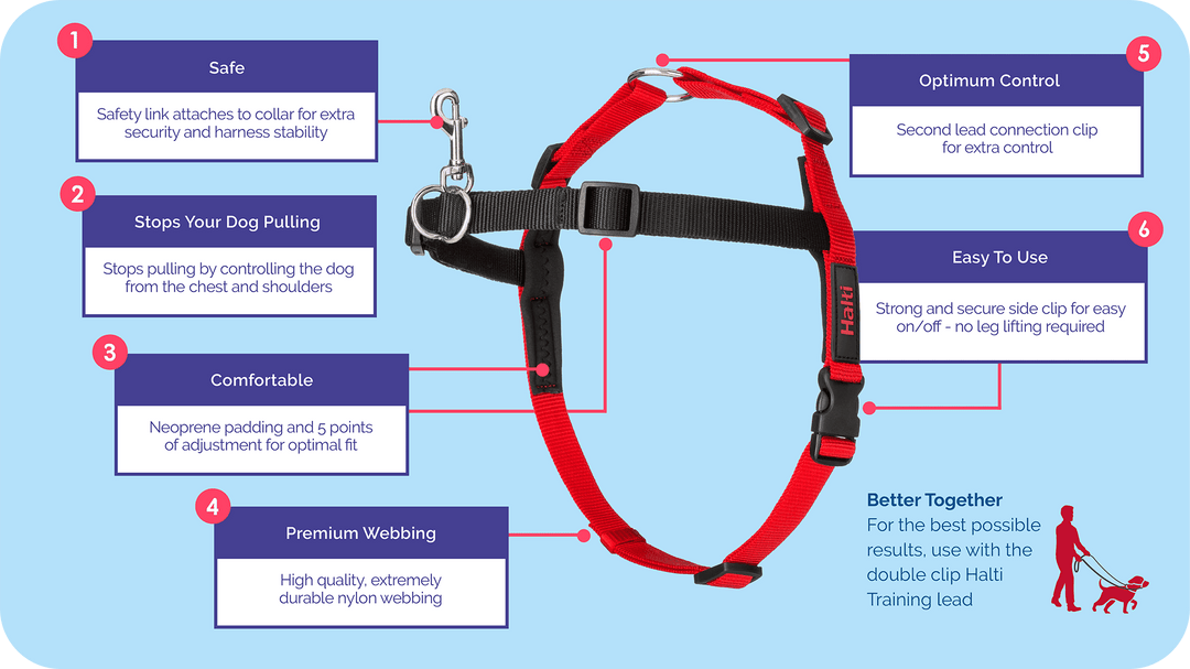 Company of Animals Halti Front Control Harness - Stop Dog Pulling Easily