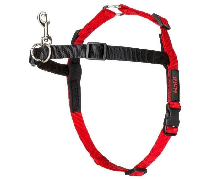 Company of Animals Halti Front Control Harness - Stop Dog Pulling Easily