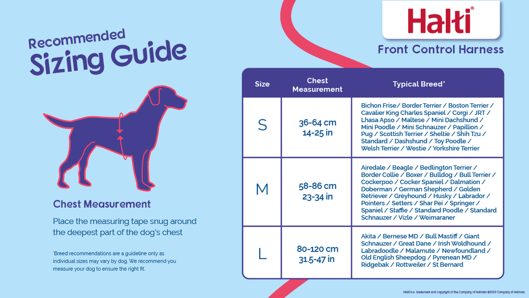 Company of Animals Halti Front Control Harness - Stop Dog Pulling Easily