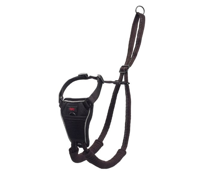 Company of Animals Halti No Pull Harness - Control Your Dog's Pulling Effortlessly