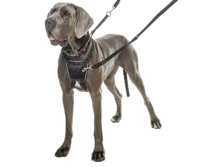 Company of Animals Halti No Pull Harness - Control Your Dog's Pulling Effortlessly