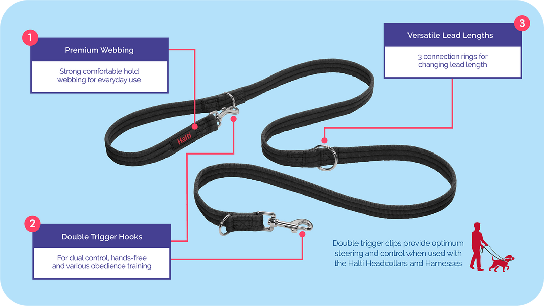 Company of Animals Halti Training Lead - Versatile Dog Control & No-Pull Training