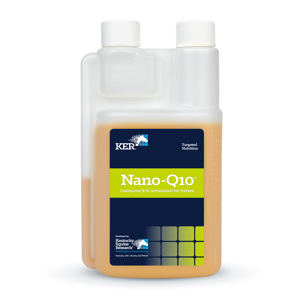 KER Nano Q10 450ml Coenzyme Antioxidant Supplement for Horses – Advanced Formula for Energy and Muscle Recovery