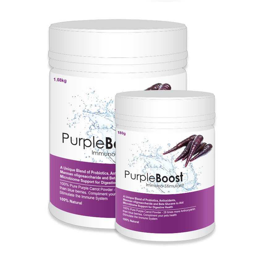 The front view of the LifeWise Purple Boost Immuno-Stimulant package.