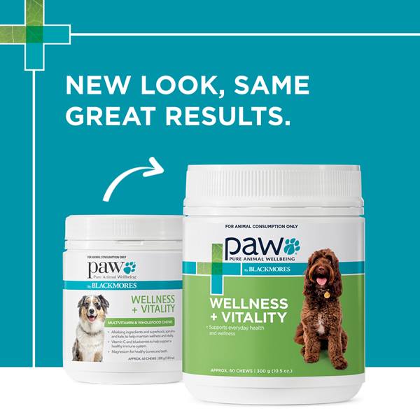 Blackmores Paw Wellness + Vitality Chews for Dogs - Boost Their Health & Happiness