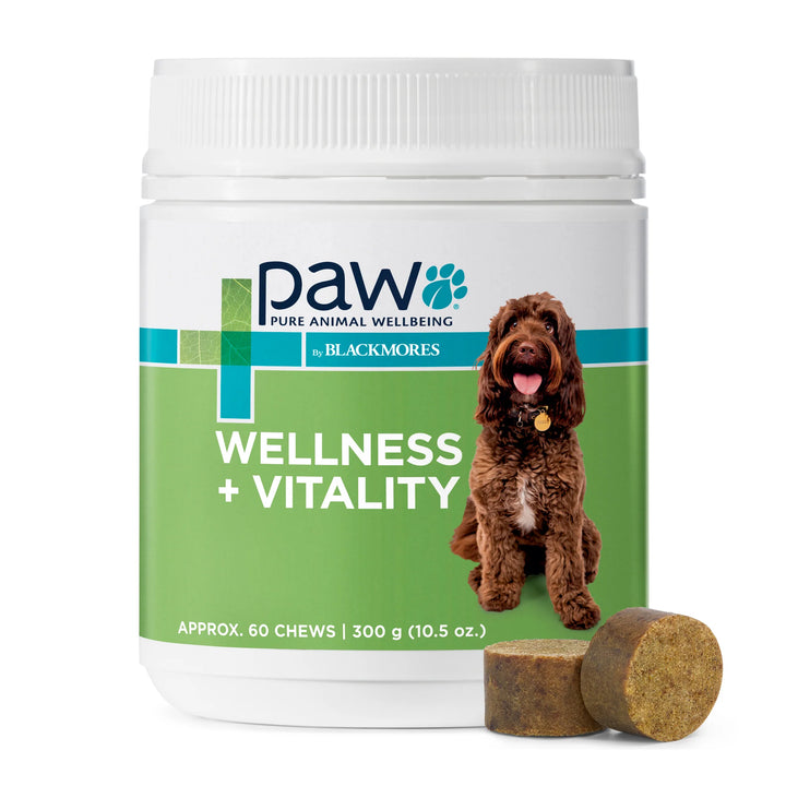 Blackmores Paw Wellness + Vitality Chews for Dogs - Boost Their Health & Happiness