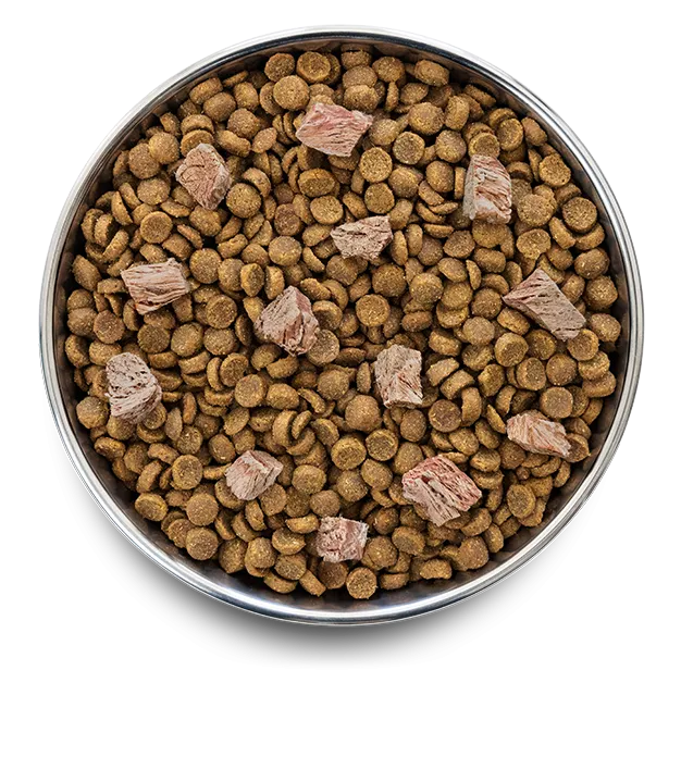 Bowl of Pure Life Grain-Free Adult Dog Food with kibble and freeze-dried lamb pieces.