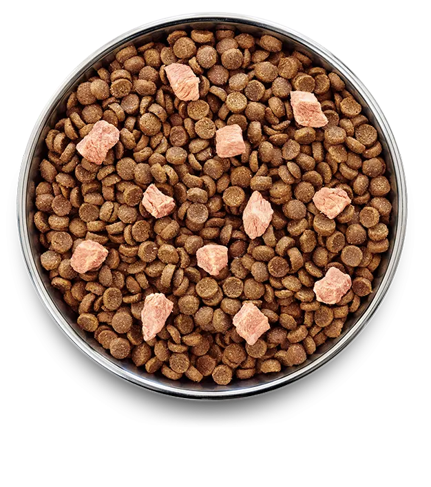 Close-Up of Pure Life Grain-Free Adult Dog Food with Outback Kangaroo – Kibble and Freeze-Dried Meat in Bowl