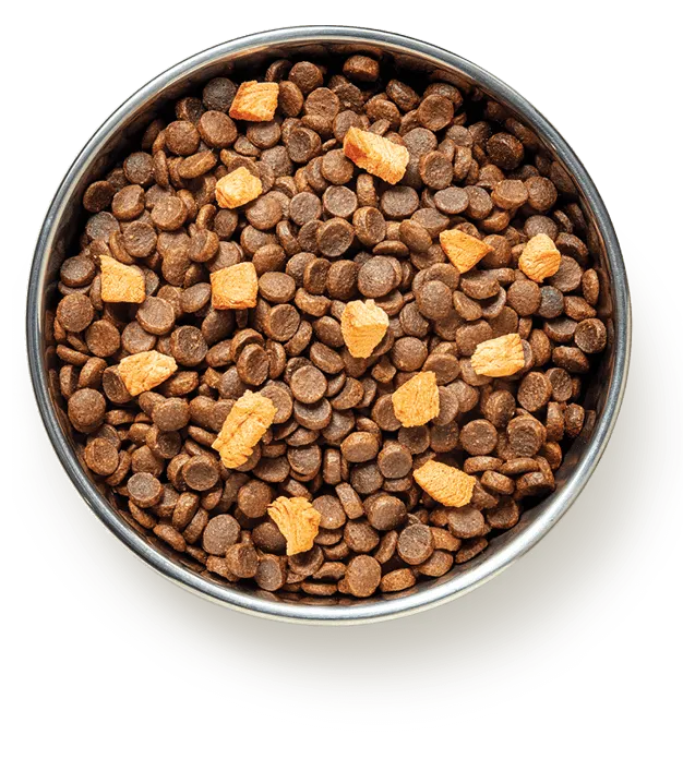 Pure Life Kibble and freeze-dried blend dog food with superfoods