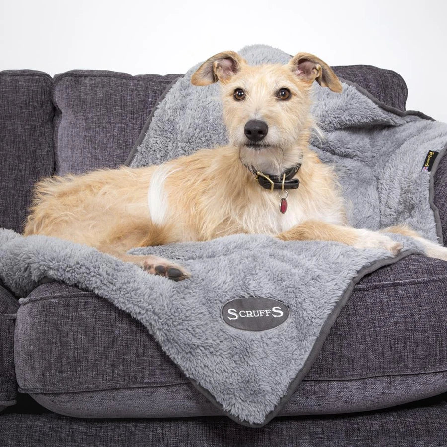 A dog comfortably lying on the Scruffs Cosy Blanket in Grey, showcasing the plush side.