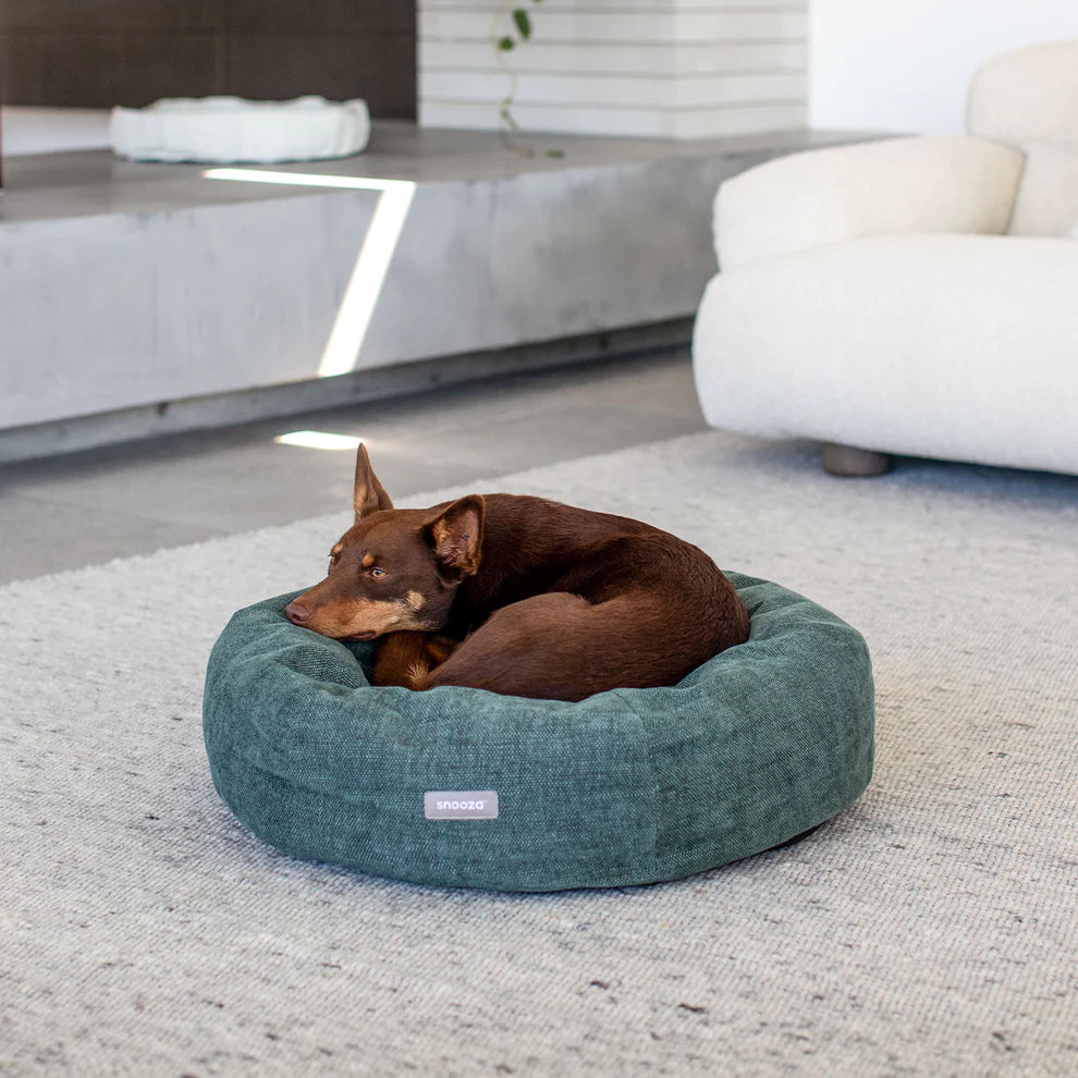 Large Dog in Snooza Mordern Cuddler Amazon Dog Bed enjoying the anti-anxiety comfort of the Snooza Modern Cuddler.