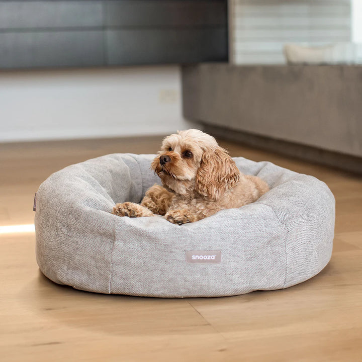 Cute Dog resting in the Snooza Modern Panelled Cuddler Bed – Pebble – Cozy, calming, and secure design for ultimate relaxation.