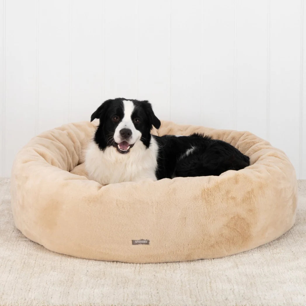 A relaxed dog lying in the Oat-colored Snooza Luxe Fur Cuddler, showing the bed's comfort and stylish design.