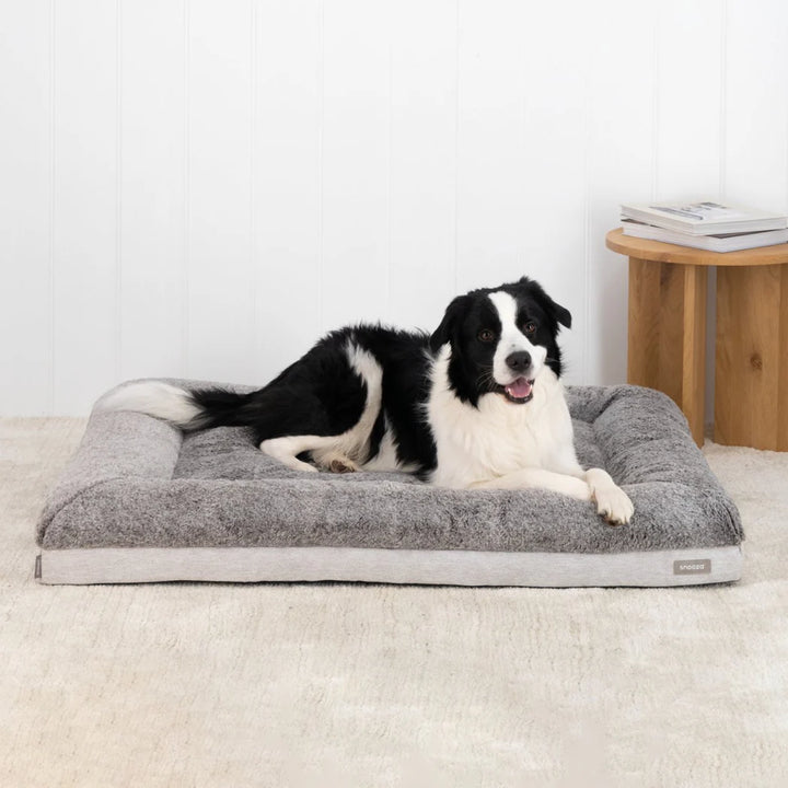 Pet Relaxing on Snooza Bed: A pet enjoying the comfort and support of the Snooza Ultra Comfort Lounge in Cashmere.