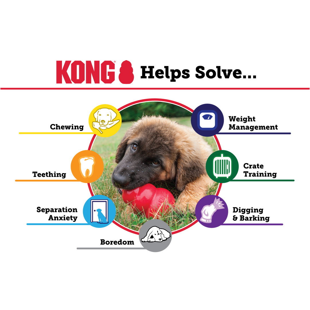 KONG Classic Toy: The Ultimate Pet Playtime Essential!